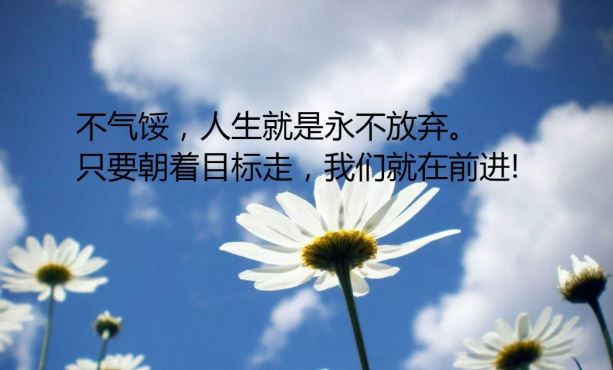 微信早上致自己的励志经典语录，句句都是充满阳光的