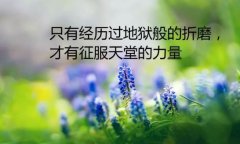 早安微商语录正能量