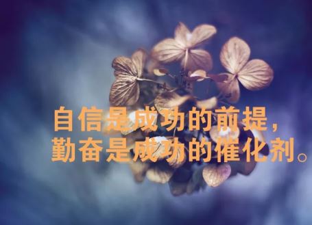 早上群发朋友圈的正能量心灵鸡汤经典句子