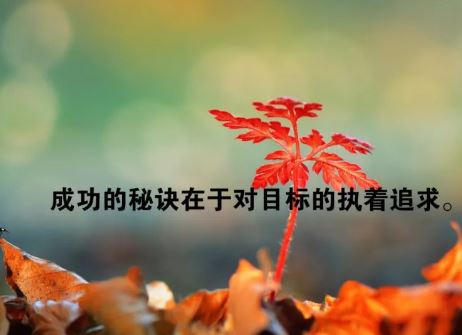 早上群发朋友圈的正能量心灵鸡汤经典句子