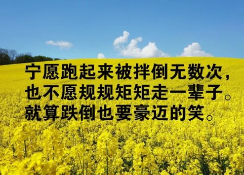 早上群发朋友圈的正能量心灵鸡汤经典句子