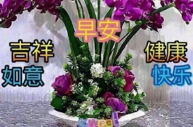 最新版早上好漂亮问候祝福图片带字