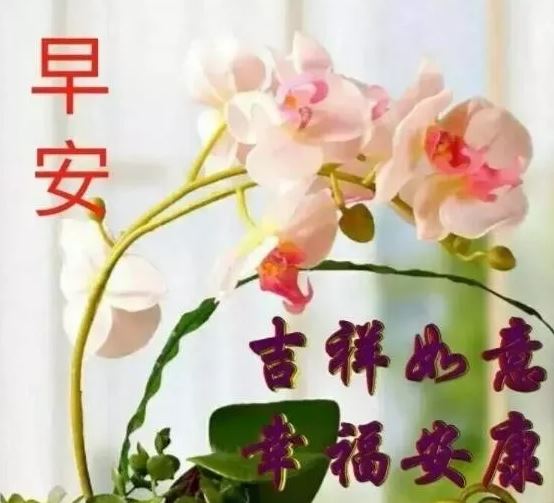 最新版早上好漂亮问候祝福图片带字