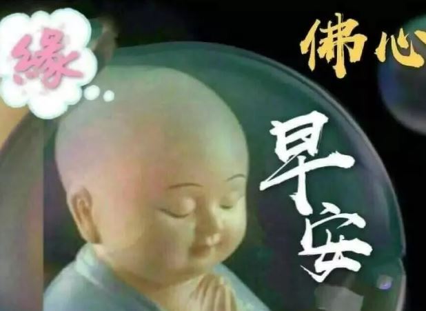 最新版早上好漂亮问候祝福图片带字