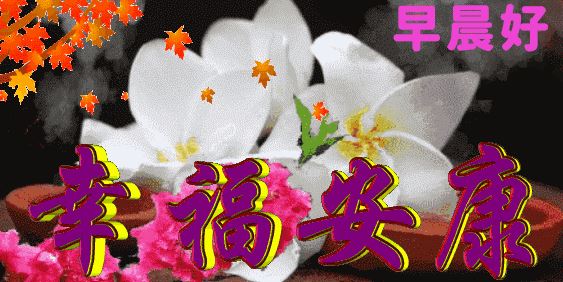 最新版早上好漂亮问候祝福图片带字