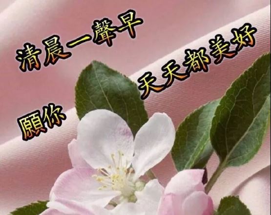 清晨唯美漂亮早上好问候语表情图片带字