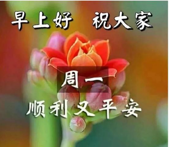 2020最新版漂亮早上好祝福美图问候语