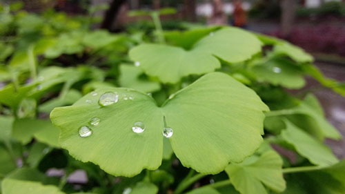 迷茫人生励志说说句子：活着一天，就是有福气