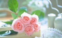 什么像什么的句子，什么像什么造