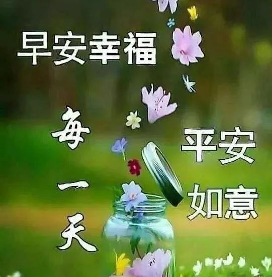 愿你今天有个好心情的唯美早安问候短信