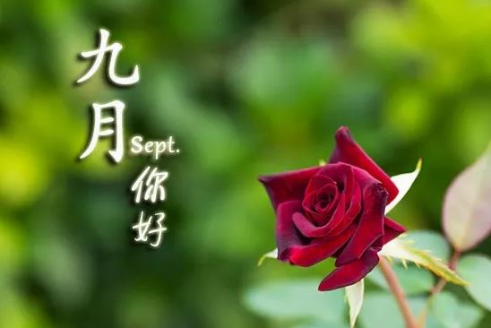 8月再见，9月你好的早安说说短句子