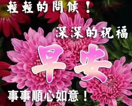 早上发表情问候和祝福朋友的句子