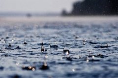 描写雨的经典语录，跟雨有关的短