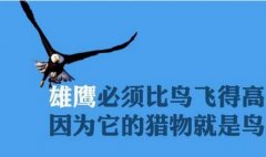 晨会分享正能量一句话，一分钟激