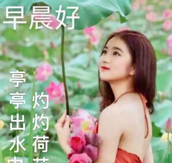 早上好美女图片大全