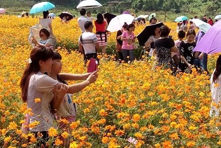 赏花的心情短语  赏花的时候，花也在赏我