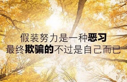 最流行的一句早安话,励志阳光