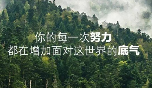 最流行的一句早安话,励志阳光