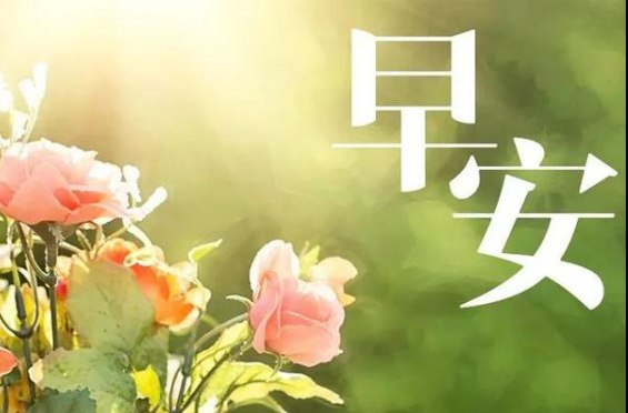 星期五正能量早安问候话语:坚持自己该做的事情,是一种勇气