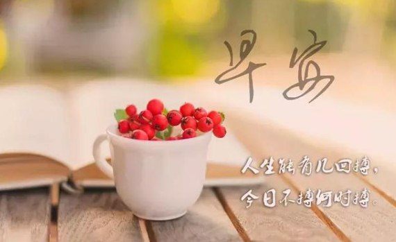 早安心语正能量:一个输不起的人,也往往嬴不了