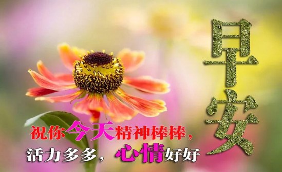 20句说到内心的经典早安句子，让调皮的你变成熟
