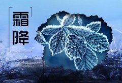 15句霜降暖心问候祝福句子配图，群