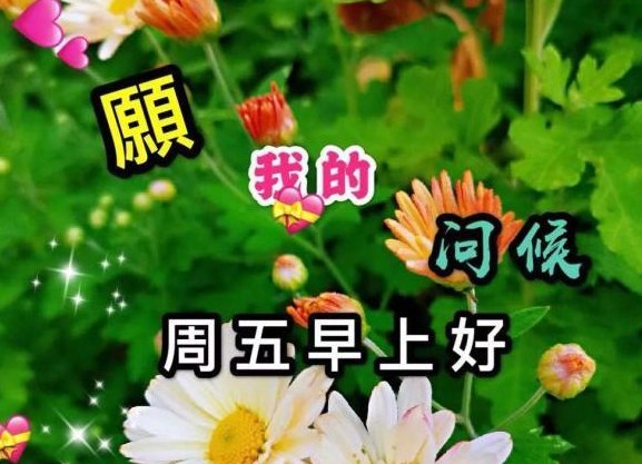 星期五早上好问候祝福短信，最美群发抖音的周五问候句子