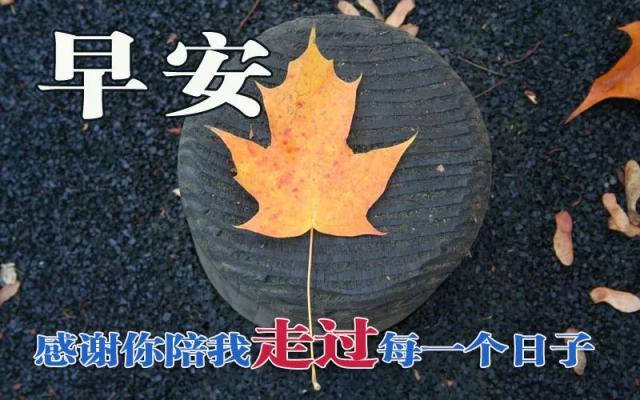 15句早安周三最温馨的祝福短信，适合群发微信