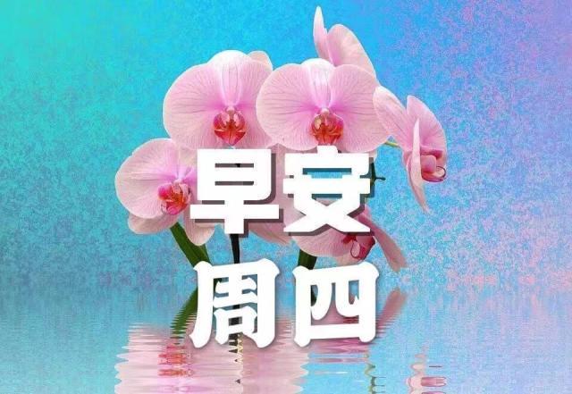 周四15句早上好问候句子，愿我的朋友幸福每一天