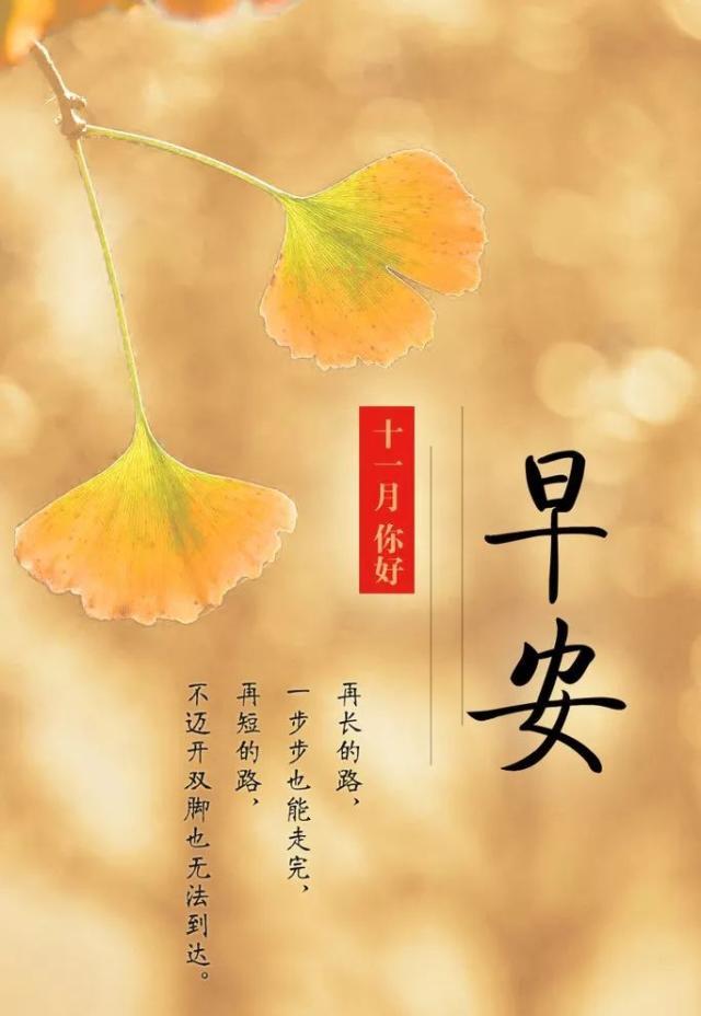 11月很美的句子精选13句