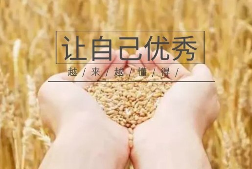 早安很犀利的一段励志感悟