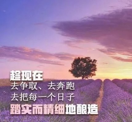 朋友圈感悟人生的哲理说说，经典走心，送朋友