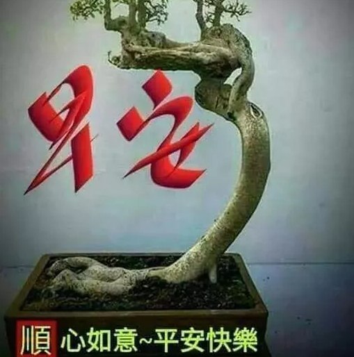 清晨最暖心的祝福语图片，传递最美的心情