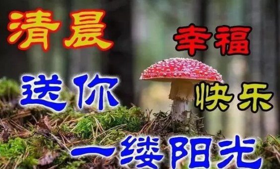 清晨最暖心的祝福语图片，传递最美的心情