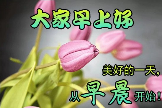 2020早晨好唯美暖心祝福问候句子