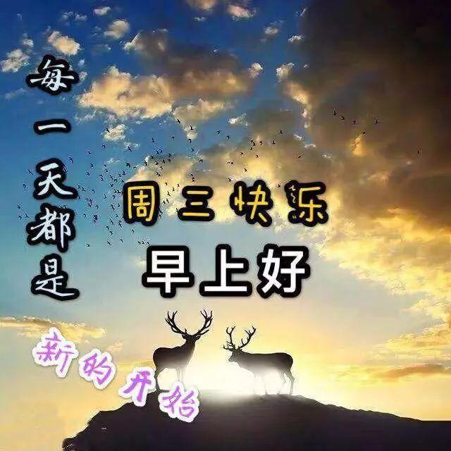 周三早上好祝福语最新版图片