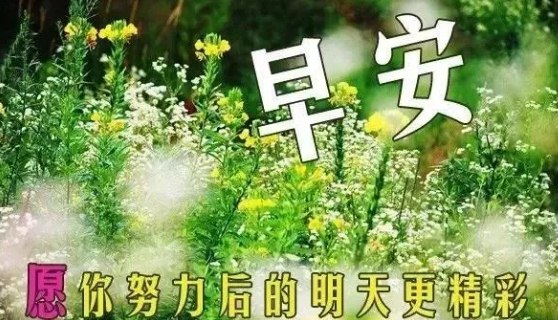 朋友圈早安激励语简短霸气