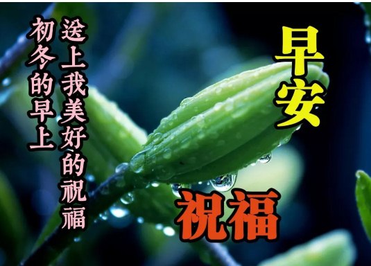 特漂亮的早安问候图片最新版，适合早上祝福朋友