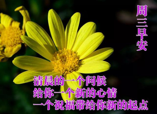 周三漂亮早安祝福图片最新版带字