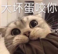 爱你的说说短语