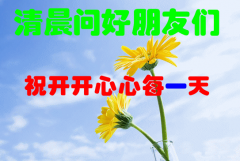 每日祝福语早安2020最新