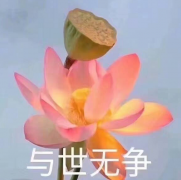 住院说的祝福语