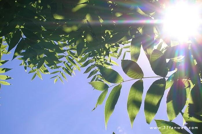 晚上内心也要充满阳