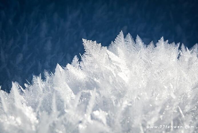 期待这个冬天下雪的