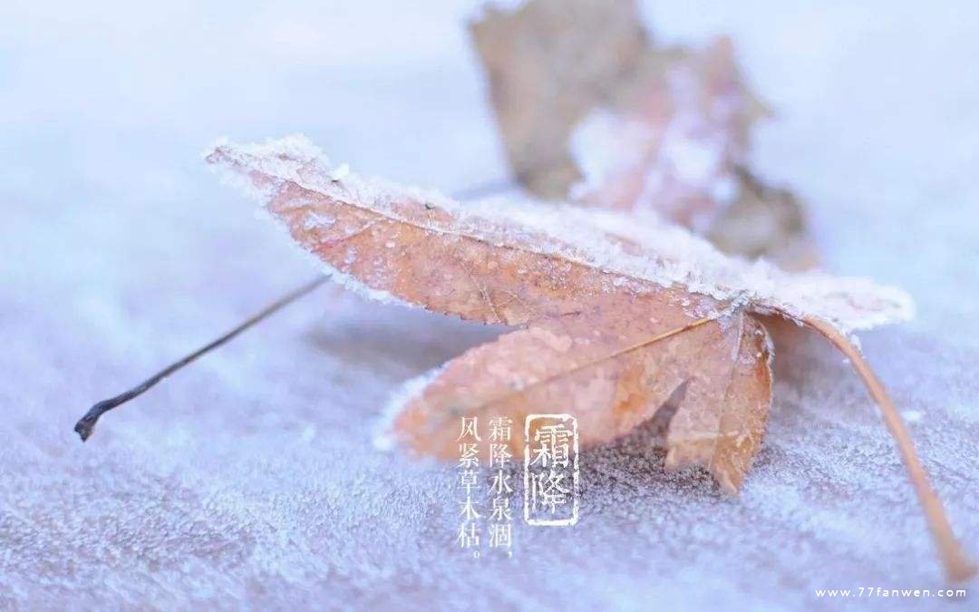 霜降适合发朋友圈的