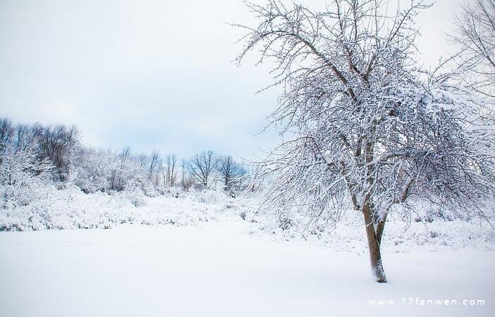 冬天看雪的唯美说说