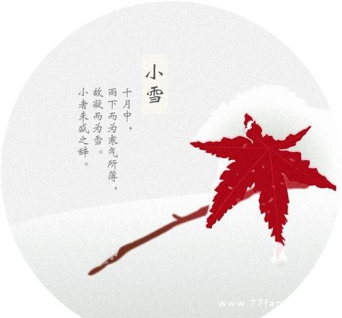 小雪诗词，初寒带风