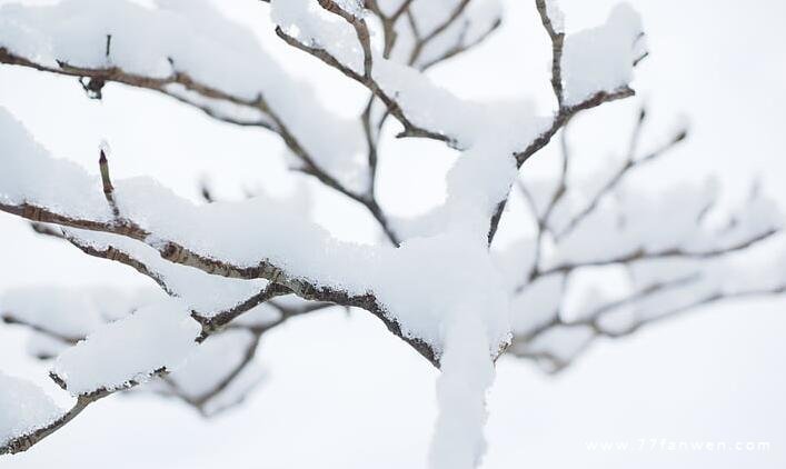 二十四节气大雪的说说