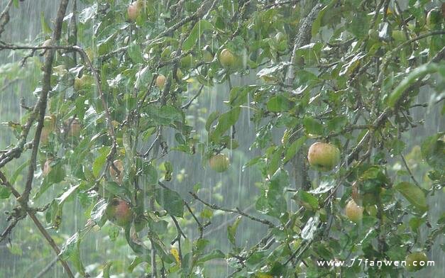 下雷雨很害怕的说说心情