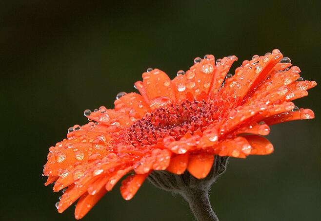 暴雨成灾发大水的说说